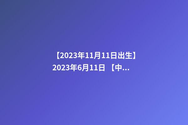 【2023年11月11日出生】2023年6月11日 【中华取名网】与西安XXX有限公司签约-第1张-公司起名-玄机派